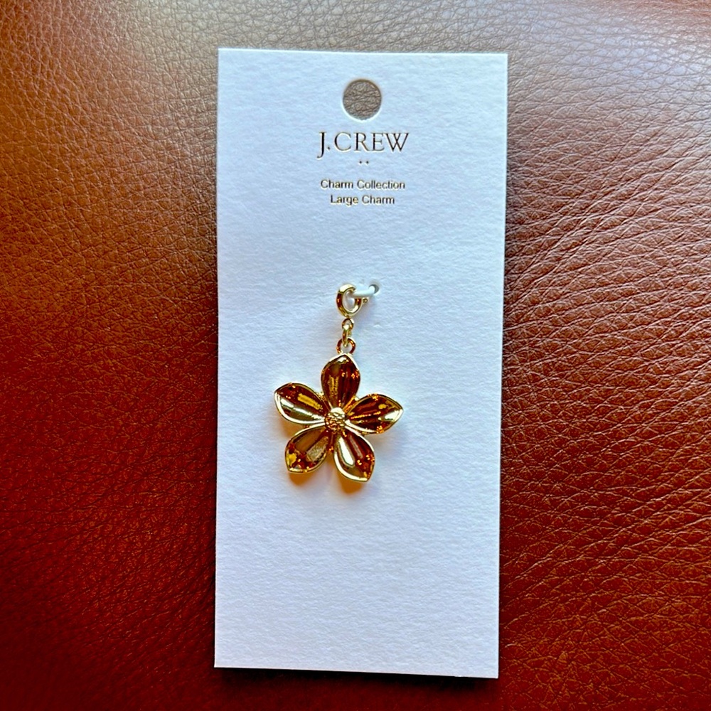 J. Crew Gold Brooch Timeless Elegance